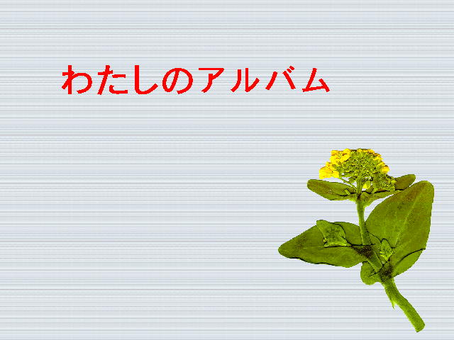 1�y�[�W