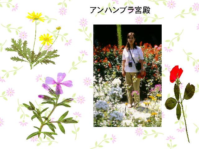 5�y�[�W