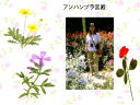 5 �y�[�W