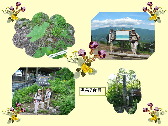 11�y�[�W