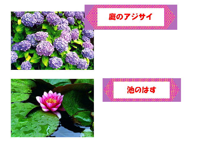 8�y�[�W