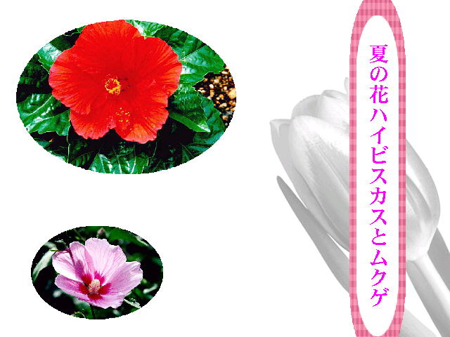 9�y�[�W