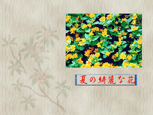 16�y�[�W