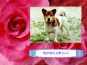 10 �y�[�W