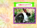 11 �y�[�W