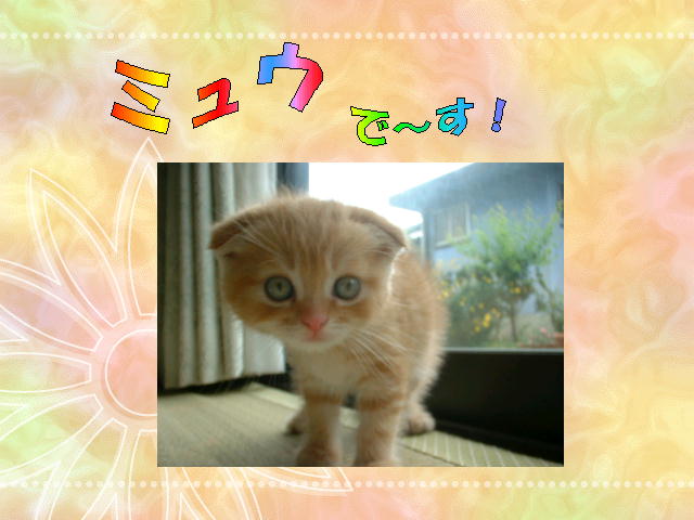 2�y�[�W