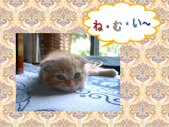 5�y�[�W