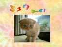 2 �y�[�W