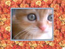 7 �y�[�W