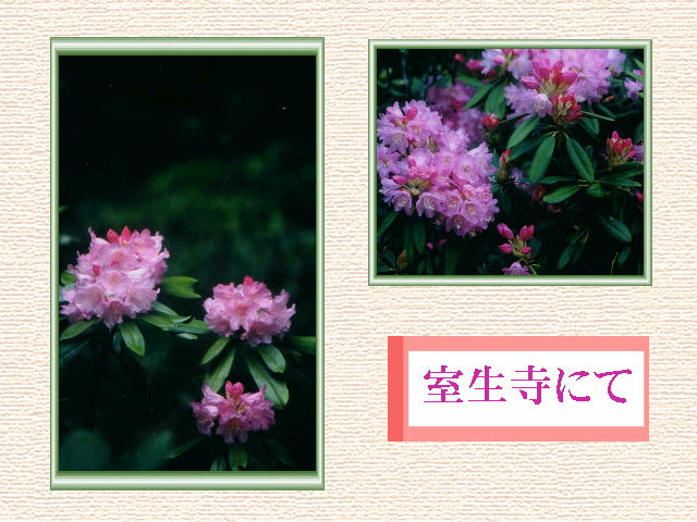 3�y�[�W