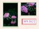 3 �y�[�W