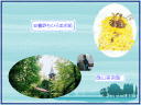 4 �y�[�W