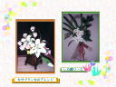 5 �y�[�W