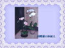 8 �y�[�W