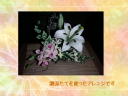 10 �y�[�W