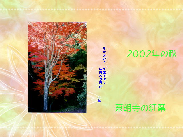 7�y�[�W