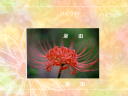 1 �y�[�W