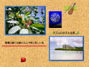 2 �y�[�W