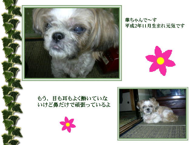 2�y�[�W