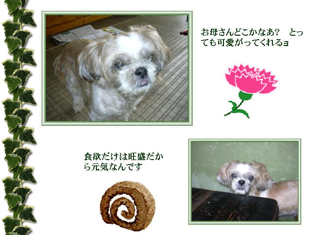 3�y�[�W