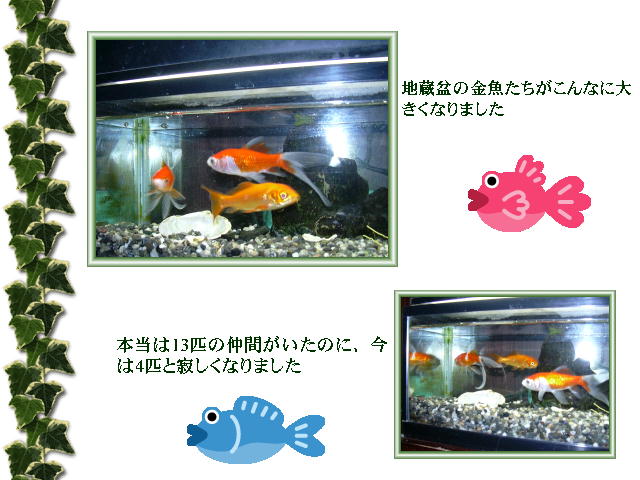 4�y�[�W