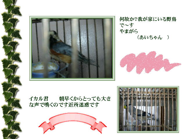 5�y�[�W