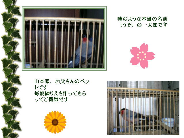 6�y�[�W