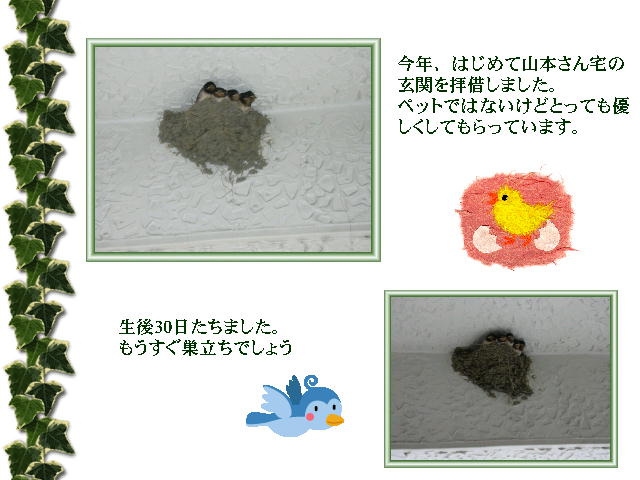 7�y�[�W