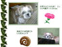 3 �y�[�W