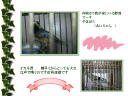 5 �y�[�W