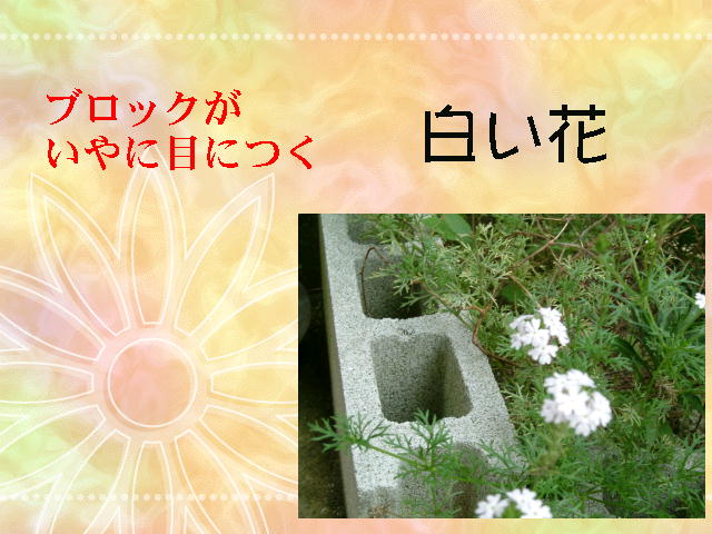 3�y�[�W