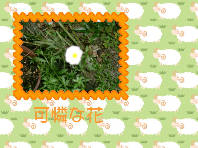 5�y�[�W