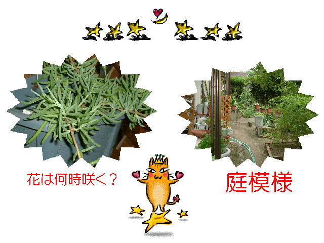6�y�[�W