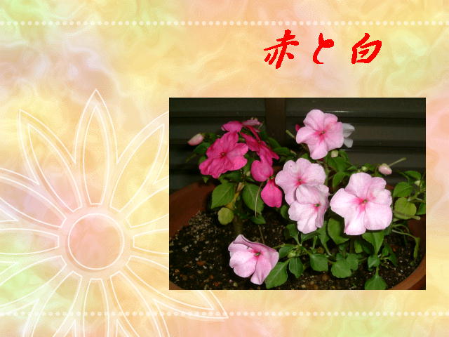 7�y�[�W