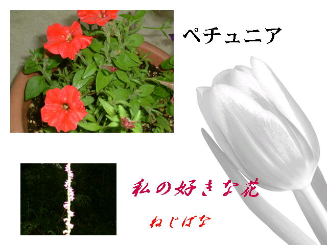 8�y�[�W
