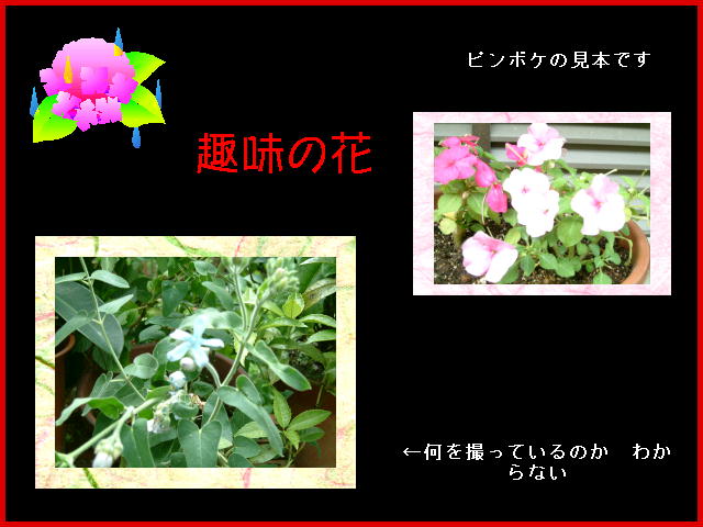 10�y�[�W