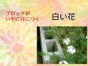 3 �y�[�W