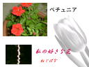 8 �y�[�W