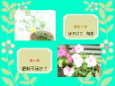 9 �y�[�W