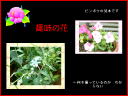 10 �y�[�W