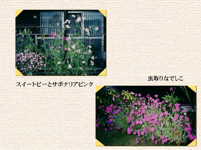 4�y�[�W