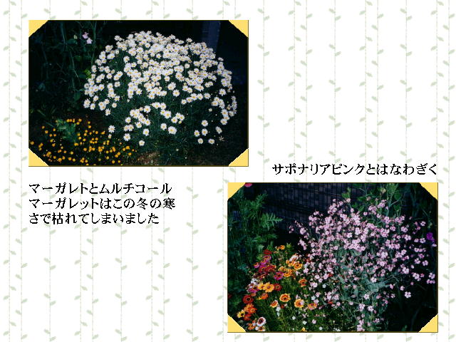 5�y�[�W