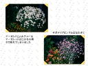 5 �y�[�W