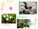 3 �y�[�W