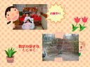 3 �y�[�W