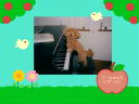 2 �y�[�W