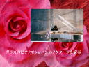 7 �y�[�W