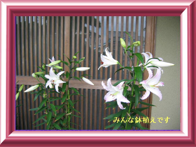 2�y�[�W