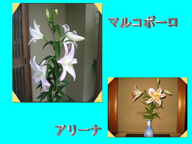 3�y�[�W