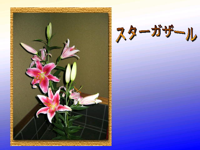 4�y�[�W